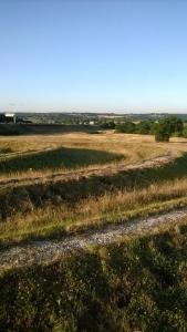 Land art near Theydon- picture by Alan Fricker